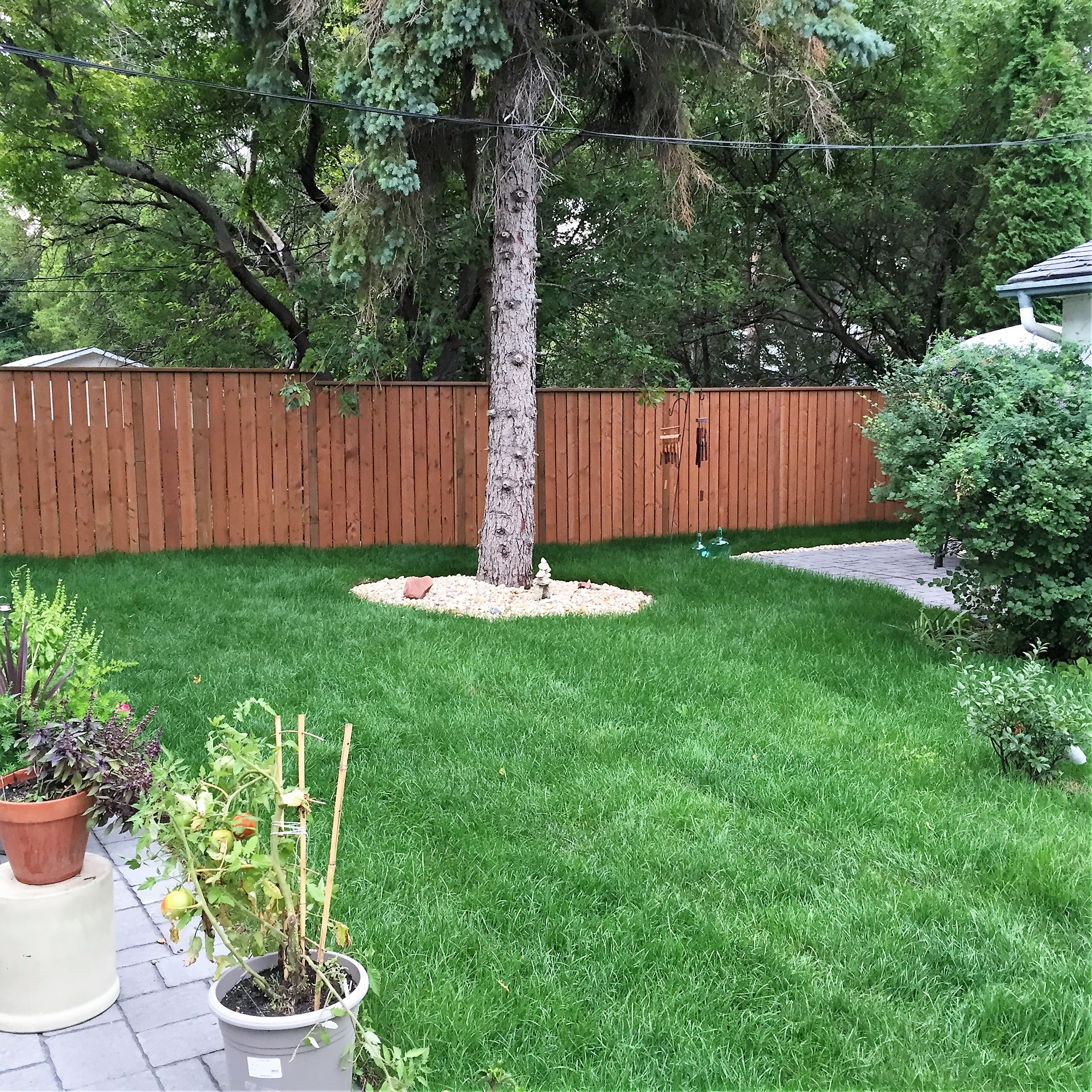 New fence installation