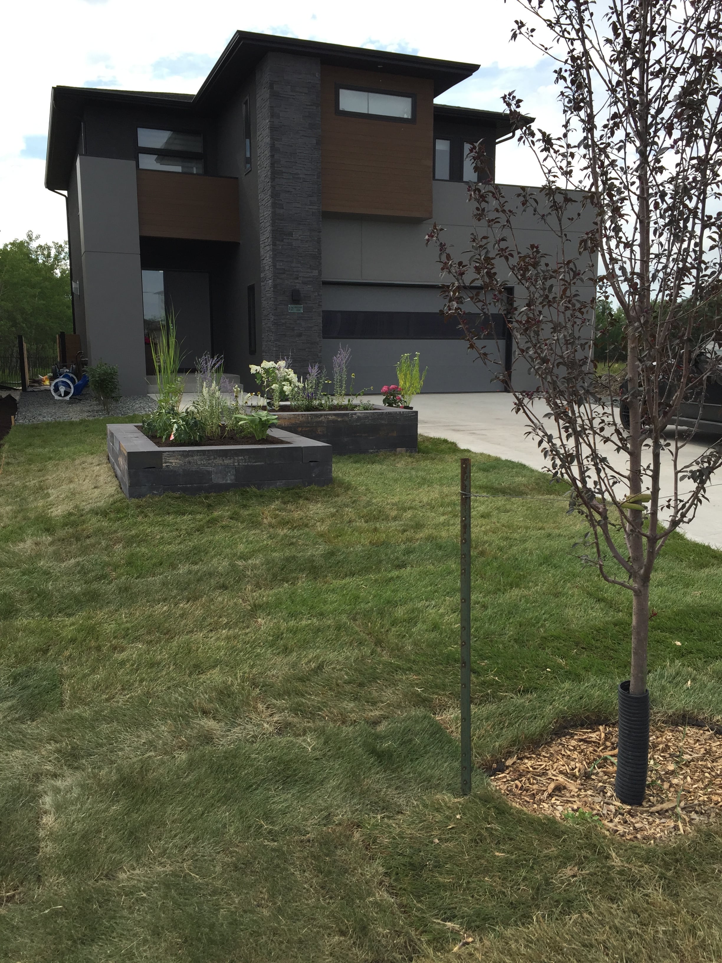 Yard after transformation