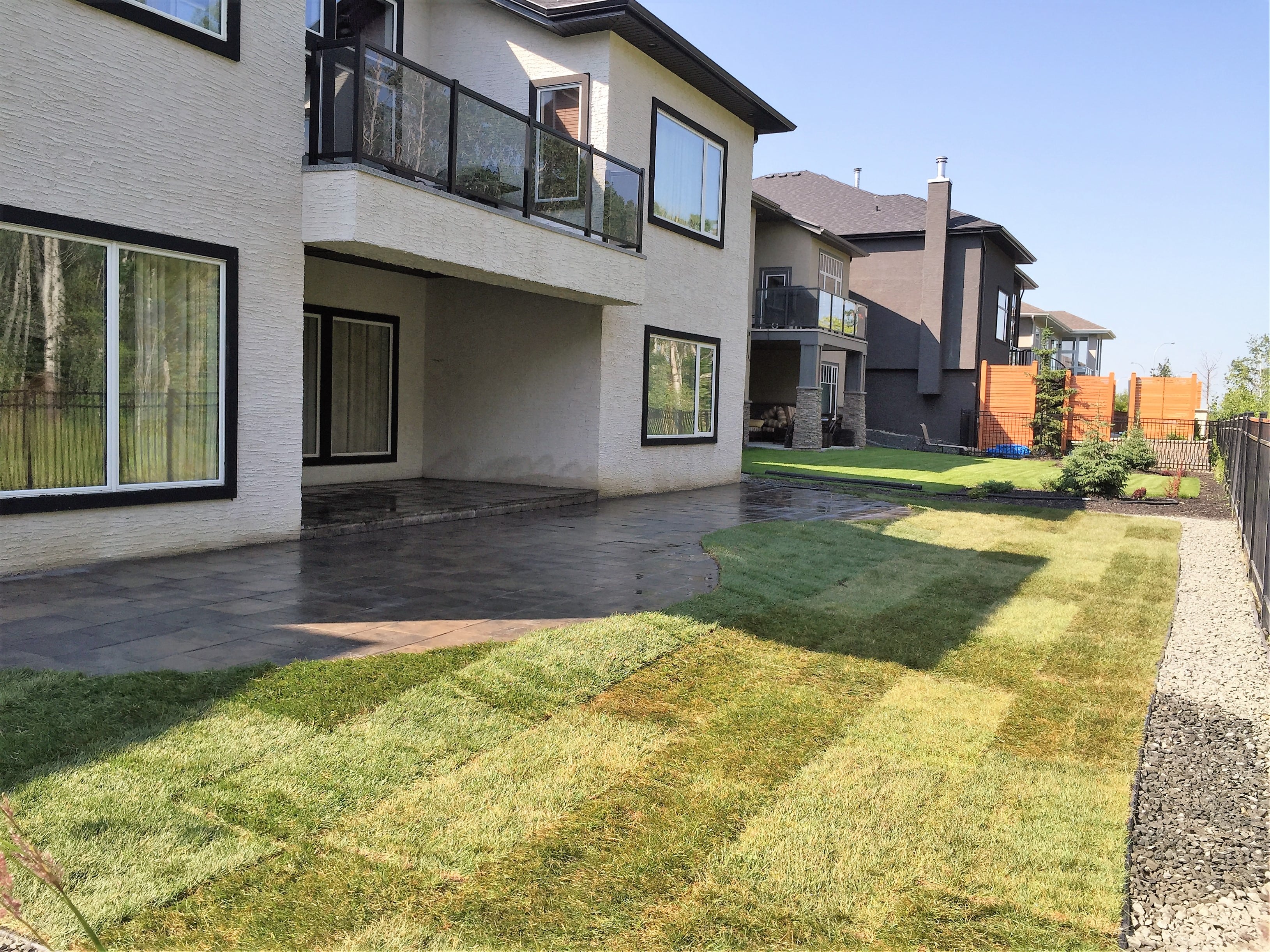 Landscaped yard