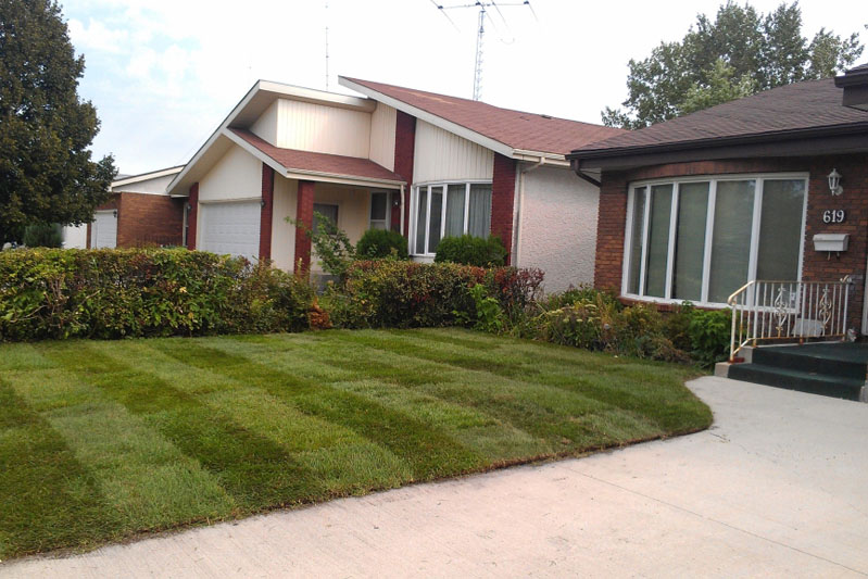 Sod installation complete