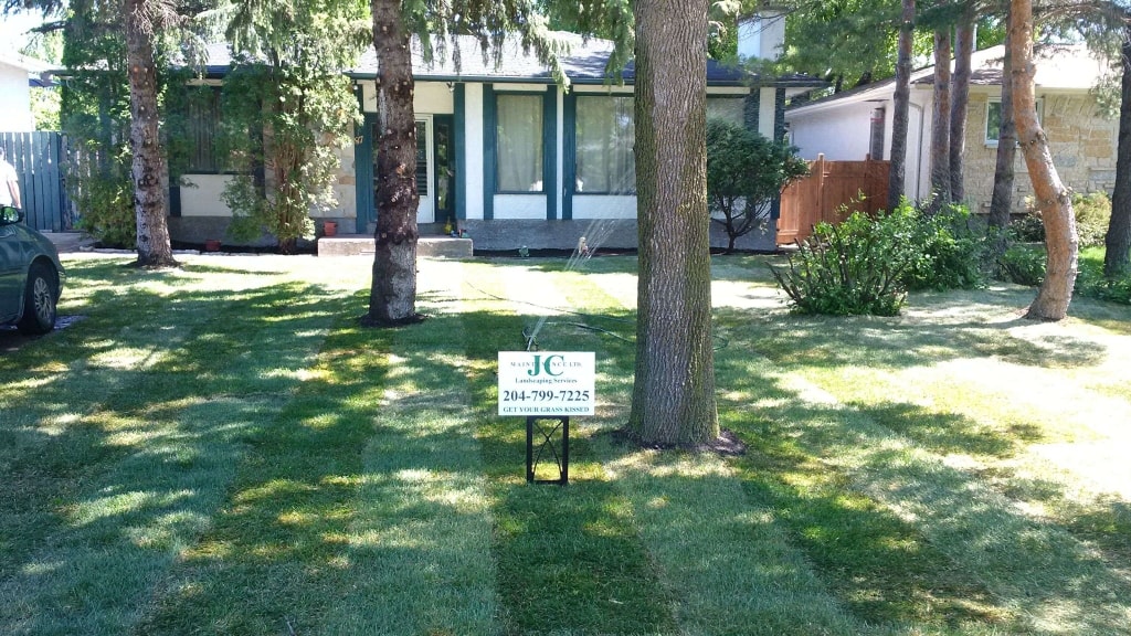 Sod installation